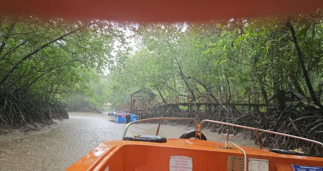 The bow of the orange speedboat entering the mangrove creek at Baratang, jetty boardwalk ahead in monsoon rain