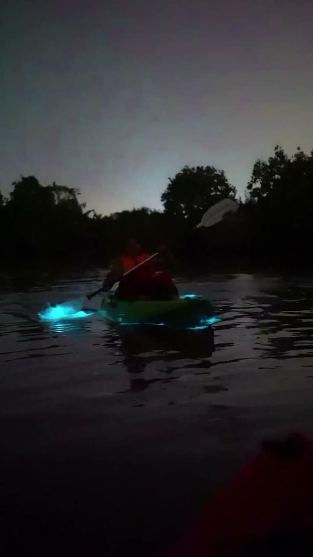 Real blue-green bioluminescence around a kayak at night, Havelock