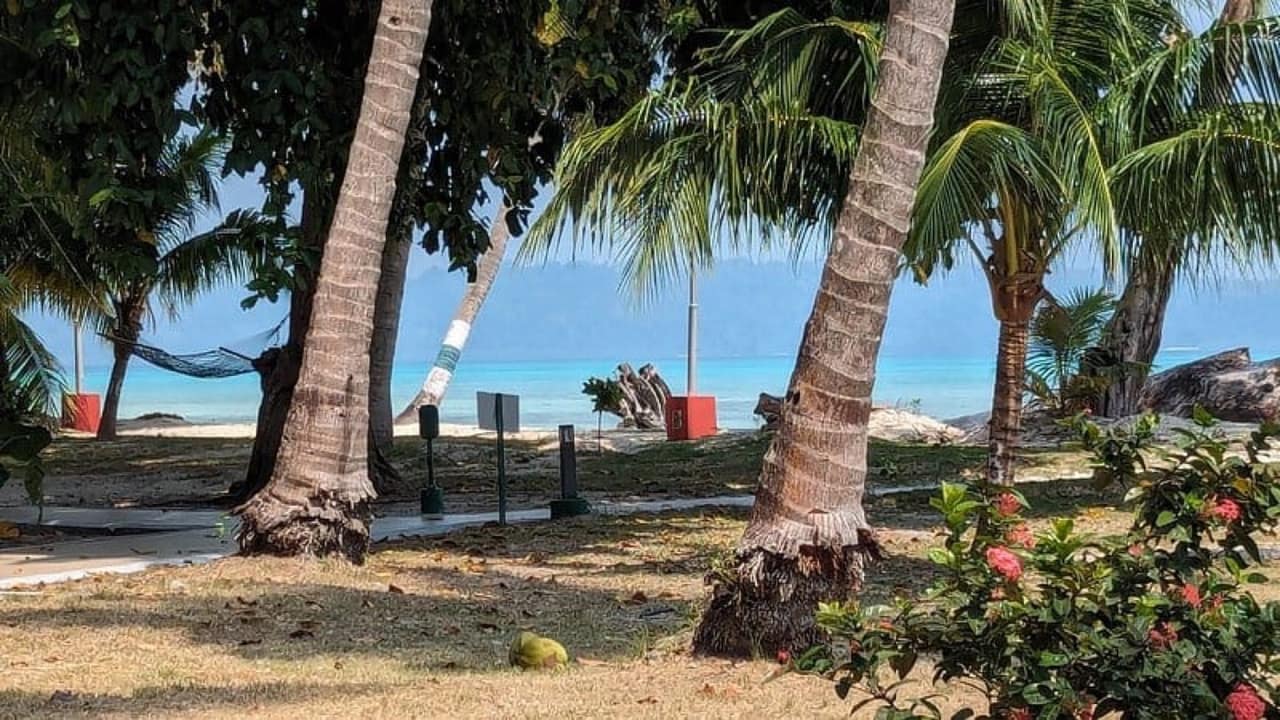 View towards a Havelock beachfront through a resort garden
