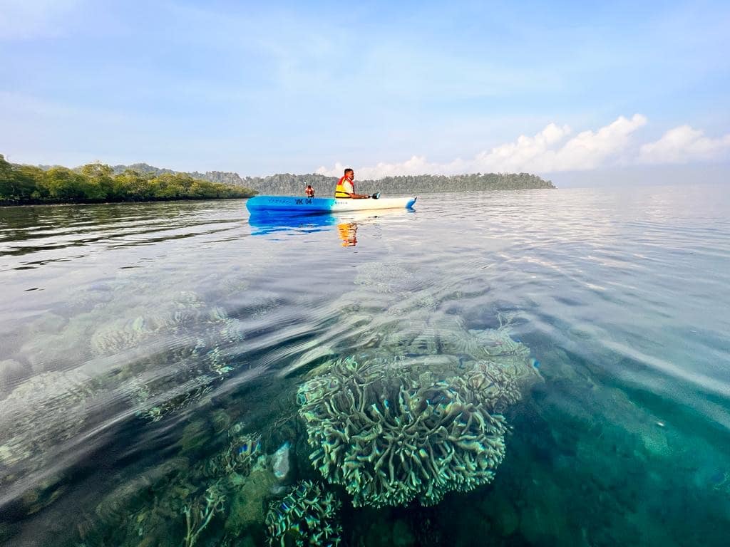 Sunrise from a kayak, Havelock