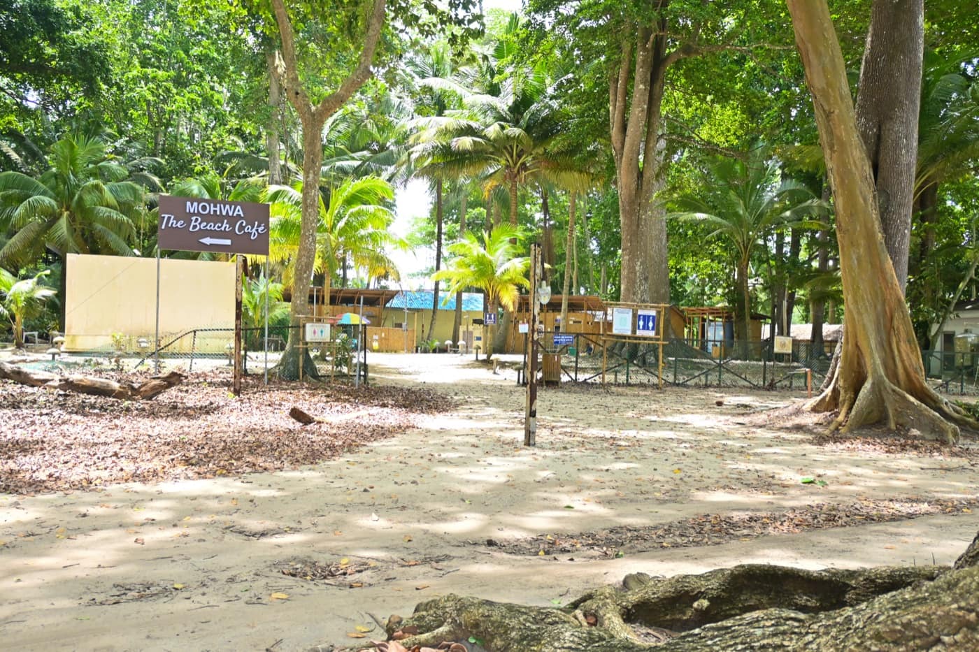 The entrance area of Radhanagar Beach with the beach cafe sign and forest canopy