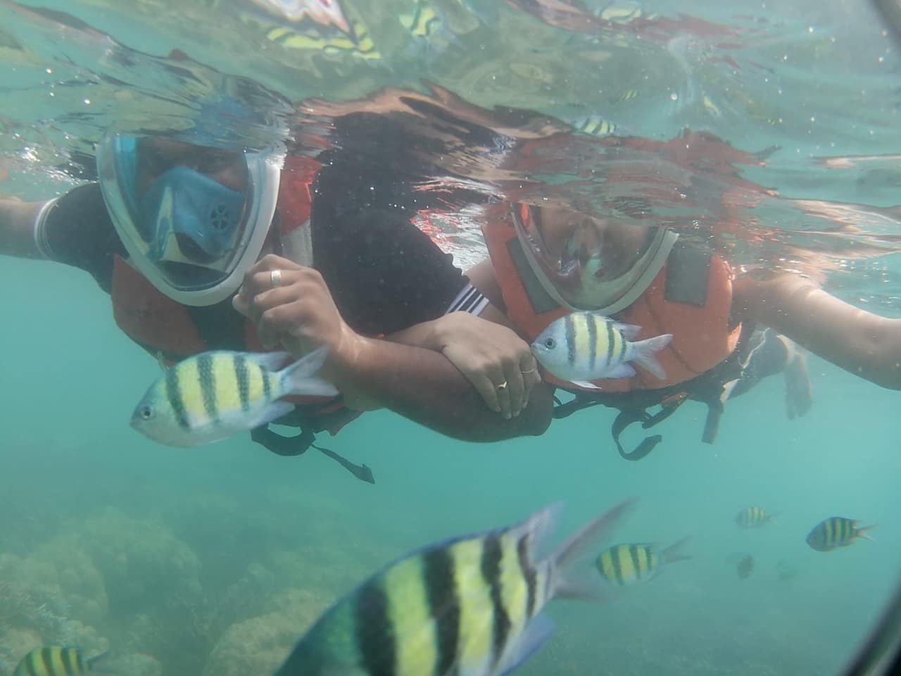 Snorkellers looking at fish over an Andaman reef
